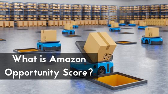 What is Amazon Opportunity Score